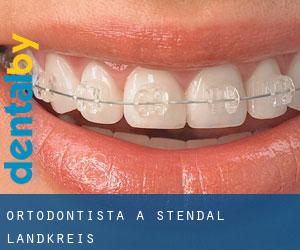 Ortodontista a Stendal Landkreis