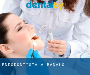 Endodontista a Banalo