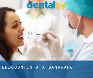 Endodontista a Banawang