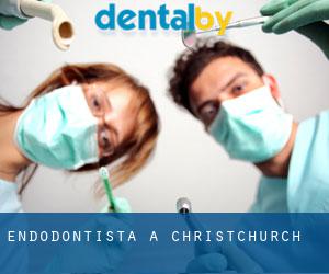 Endodontista a Christchurch