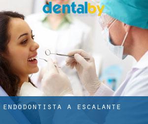 Endodontista a Escalante