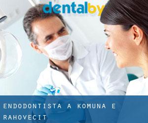 Endodontista a Komuna e Rahovecit