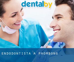 Endodontista a Paombong