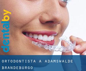 Ortodontista a Adamswalde (Brandeburgo)