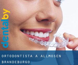 Ortodontista a Allmosen (Brandeburgo)