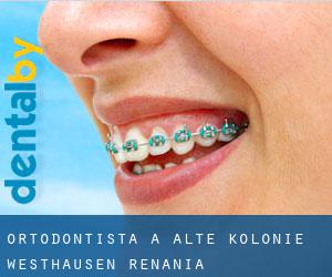 Ortodontista a Alte Kolonie Westhausen (Renania Settentrionale-Vestfalia)