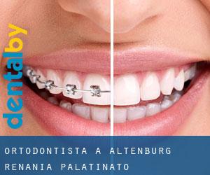 Ortodontista a Altenburg (Renania-Palatinato)