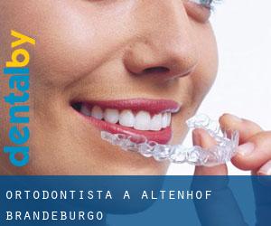 Ortodontista a Altenhof (Brandeburgo)