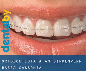 Ortodontista a Am Birkenvenn (Bassa Sassonia)