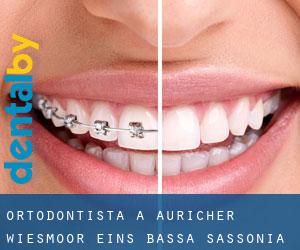 Ortodontista a Auricher Wiesmoor Eins (Bassa Sassonia)