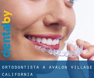 Ortodontista a Avalon Village (California)