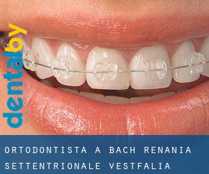 Ortodontista a Bach (Renania Settentrionale-Vestfalia)