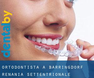 Ortodontista a Barringdorf (Renania Settentrionale-Vestfalia)