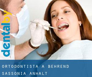 Ortodontista a Behrend (Sassonia-Anhalt)