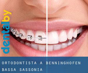 Ortodontista a Benninghöfen (Bassa Sassonia)