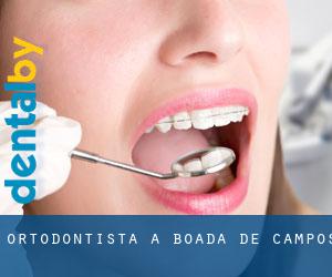 Ortodontista a Boada de Campos