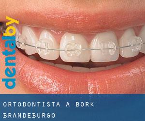 Ortodontista a Bork (Brandeburgo)
