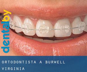 Ortodontista a Burwell (Virginia)