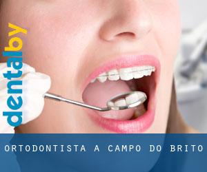 Ortodontista a Campo do Brito