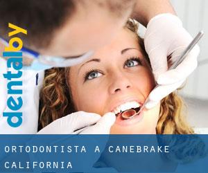 Ortodontista a Canebrake (California)