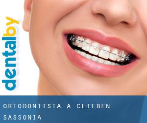 Ortodontista a Clieben (Sassonia)
