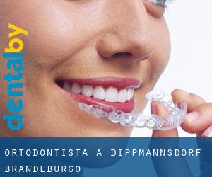 Ortodontista a Dippmannsdorf (Brandeburgo)