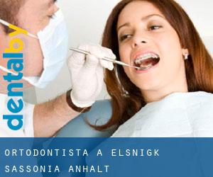 Ortodontista a Elsnigk (Sassonia-Anhalt)