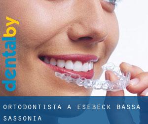 Ortodontista a Esebeck (Bassa Sassonia)
