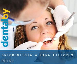 Ortodontista a Fara Filiorum Petri