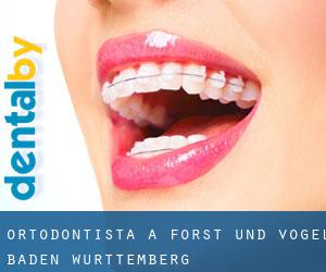 Ortodontista a Forst und Vogel (Baden-Württemberg)