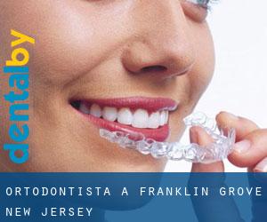 Ortodontista a Franklin Grove (New Jersey)