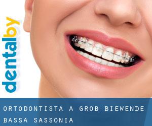 Ortodontista a Groß Biewende (Bassa Sassonia)