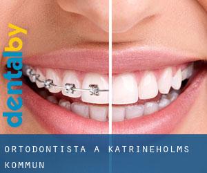 Ortodontista a Katrineholms Kommun