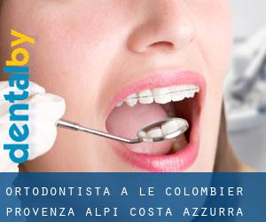 Ortodontista a Le Colombier (Provenza-Alpi-Costa Azzurra)