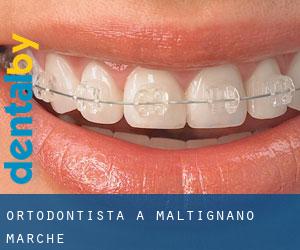 Ortodontista a Maltignano (Marche)
