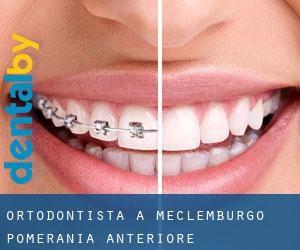 Ortodontista a Meclemburgo-Pomerania Anteriore Ortodontista a Meclemburgo-Pomerania Anteriore
