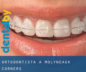 Ortodontista a Molyneaux Corners