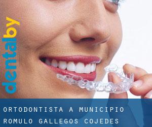 Ortodontista a Municipio Rómulo Gallegos (Cojedes)