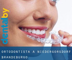 Ortodontista a Niedergörsdorf (Brandeburgo)