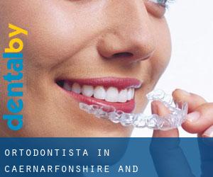 Ortodontista in Caernarfonshire and Merionethshire da città - pagina 1