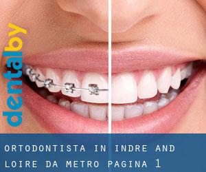 Ortodontista in Indre and Loire da metro - pagina 1