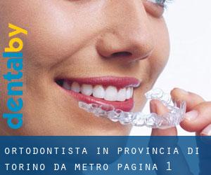 Ortodontista in Provincia di Torino da metro - pagina 1