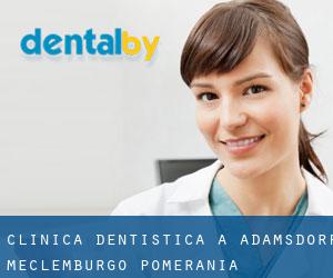 Clinica dentistica a Adamsdorf (Meclemburgo-Pomerania Anteriore)