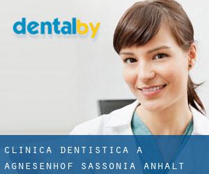 Clinica dentistica a Agnesenhof (Sassonia-Anhalt)