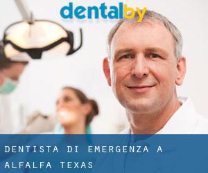 Dentista di emergenza a Alfalfa (Texas)