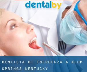 Dentista di emergenza a Alum Springs (Kentucky)