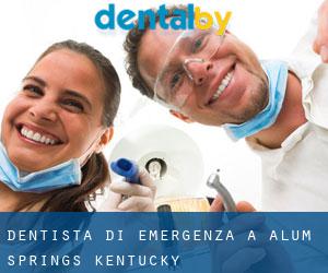Dentista di emergenza a Alum Springs (Kentucky)