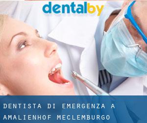 Dentista di emergenza a Amalienhof (Meclemburgo-Pomerania Anteriore)