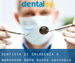 Dentista di emergenza a Barghorn Nord (Bassa Sassonia)