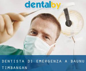Dentista di emergenza a Baunu-Timbangan